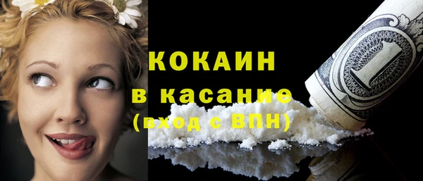 крисы Надым