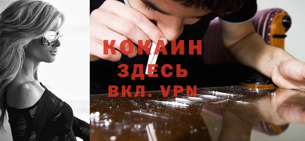 крисы Надым