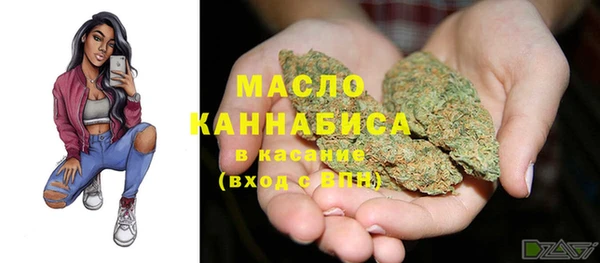 крисы Надым