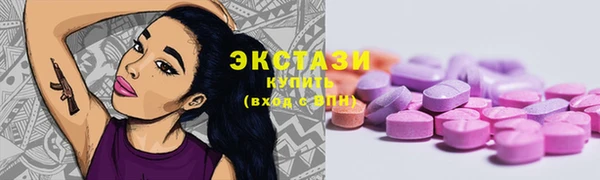 крисы Надым