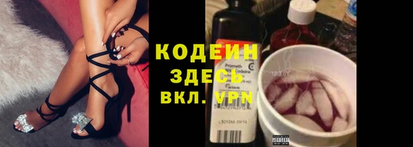 крисы Надым