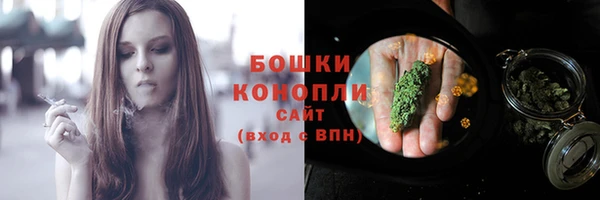крисы Надым