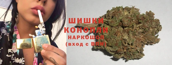 крисы Надым