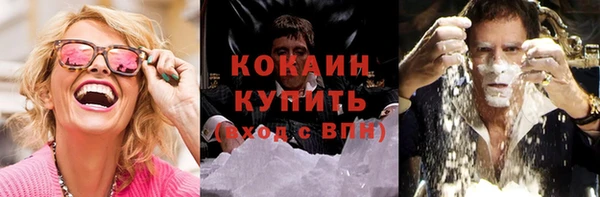 крисы Надым